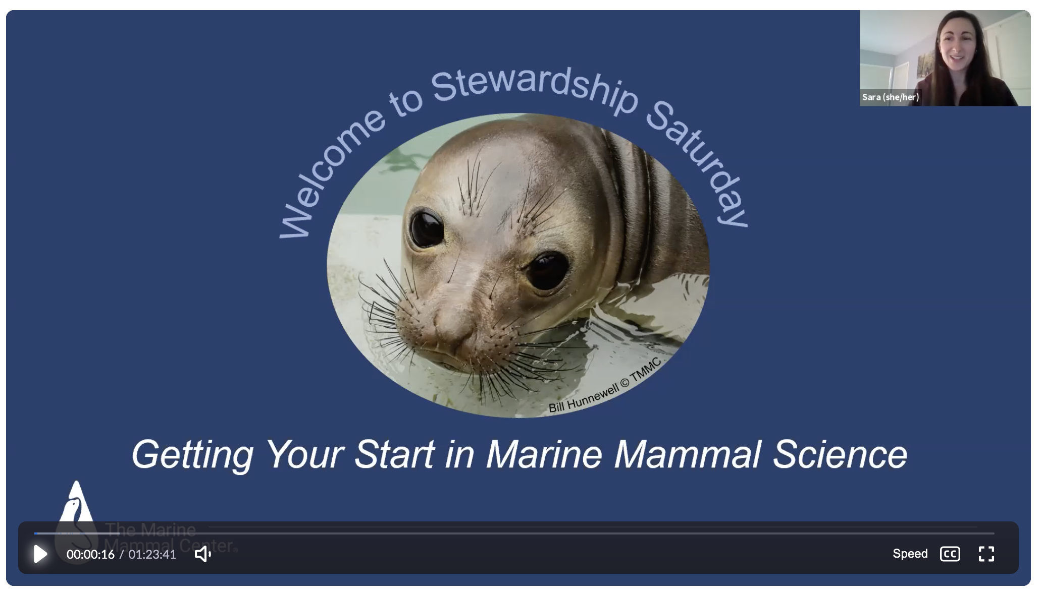 Stewardship Saturday: Getting Your Start in Marine Mammal Science